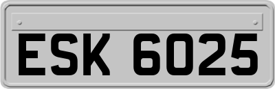 ESK6025