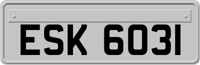 ESK6031
