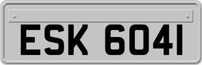ESK6041