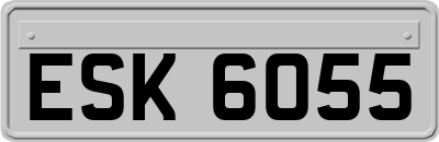 ESK6055