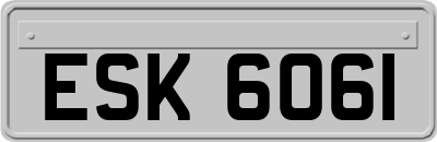 ESK6061