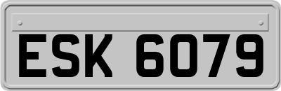 ESK6079