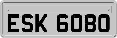 ESK6080