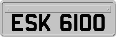 ESK6100