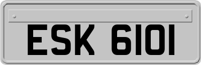 ESK6101