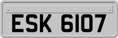 ESK6107