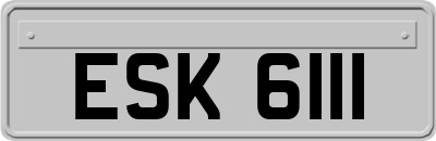 ESK6111