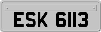 ESK6113