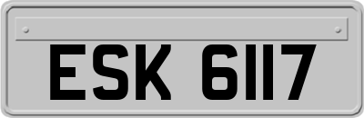 ESK6117