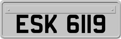 ESK6119
