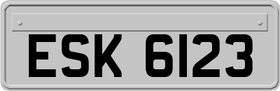 ESK6123