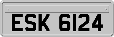 ESK6124