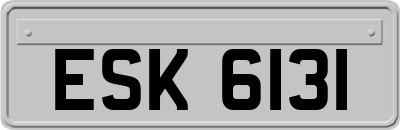 ESK6131