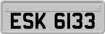 ESK6133