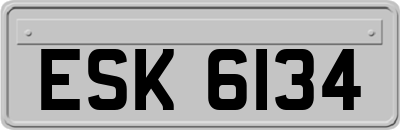 ESK6134