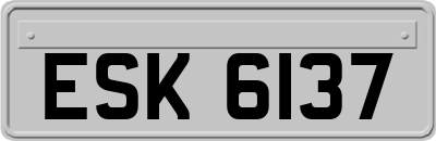 ESK6137