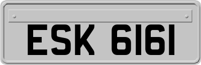 ESK6161