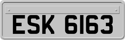 ESK6163