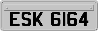 ESK6164