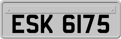 ESK6175