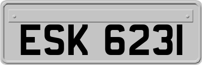 ESK6231