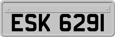 ESK6291