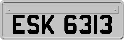 ESK6313