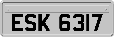 ESK6317