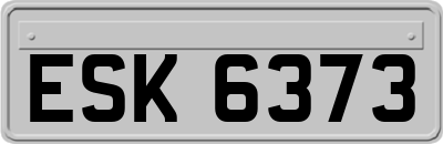 ESK6373