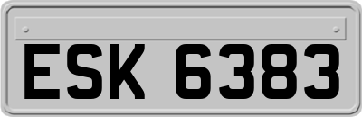 ESK6383
