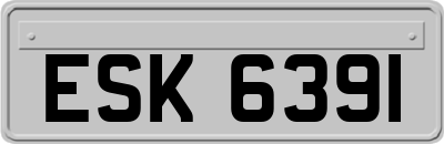 ESK6391