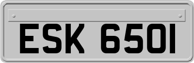 ESK6501