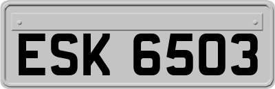 ESK6503