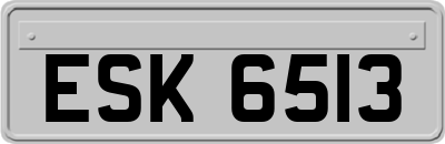 ESK6513