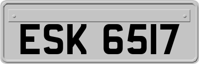 ESK6517