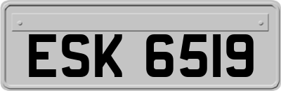 ESK6519
