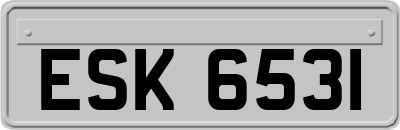 ESK6531