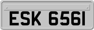 ESK6561