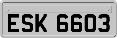 ESK6603