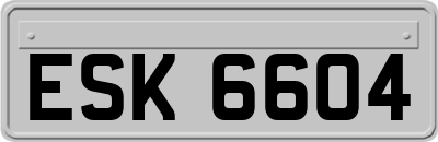 ESK6604