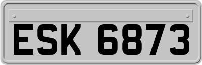 ESK6873