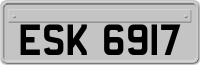 ESK6917