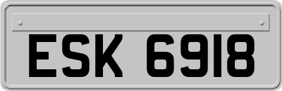 ESK6918