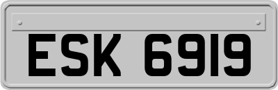 ESK6919