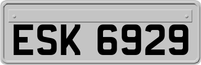 ESK6929