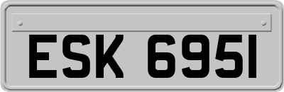 ESK6951