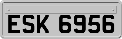 ESK6956