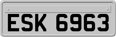 ESK6963