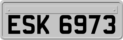 ESK6973