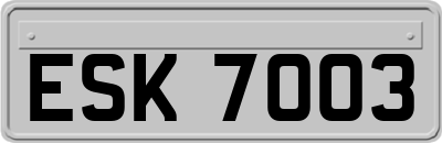 ESK7003